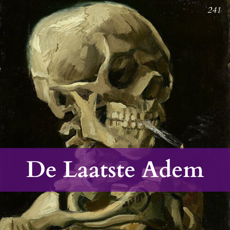 231